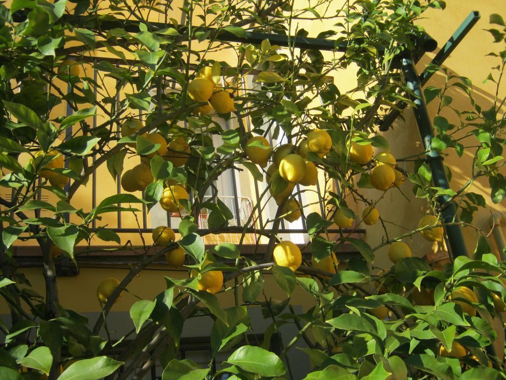 Holiday Home Il Borgo Degli Agrumi Uzzano ภายนอก รูปภาพ