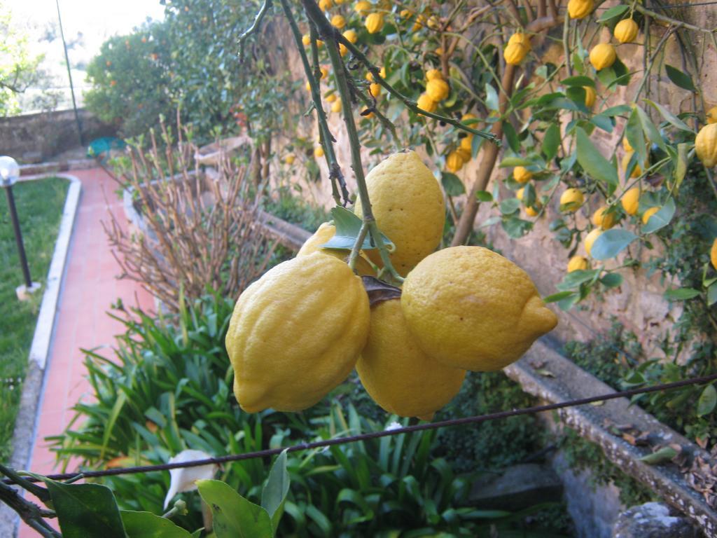 Holiday Home Il Borgo Degli Agrumi Uzzano ภายนอก รูปภาพ